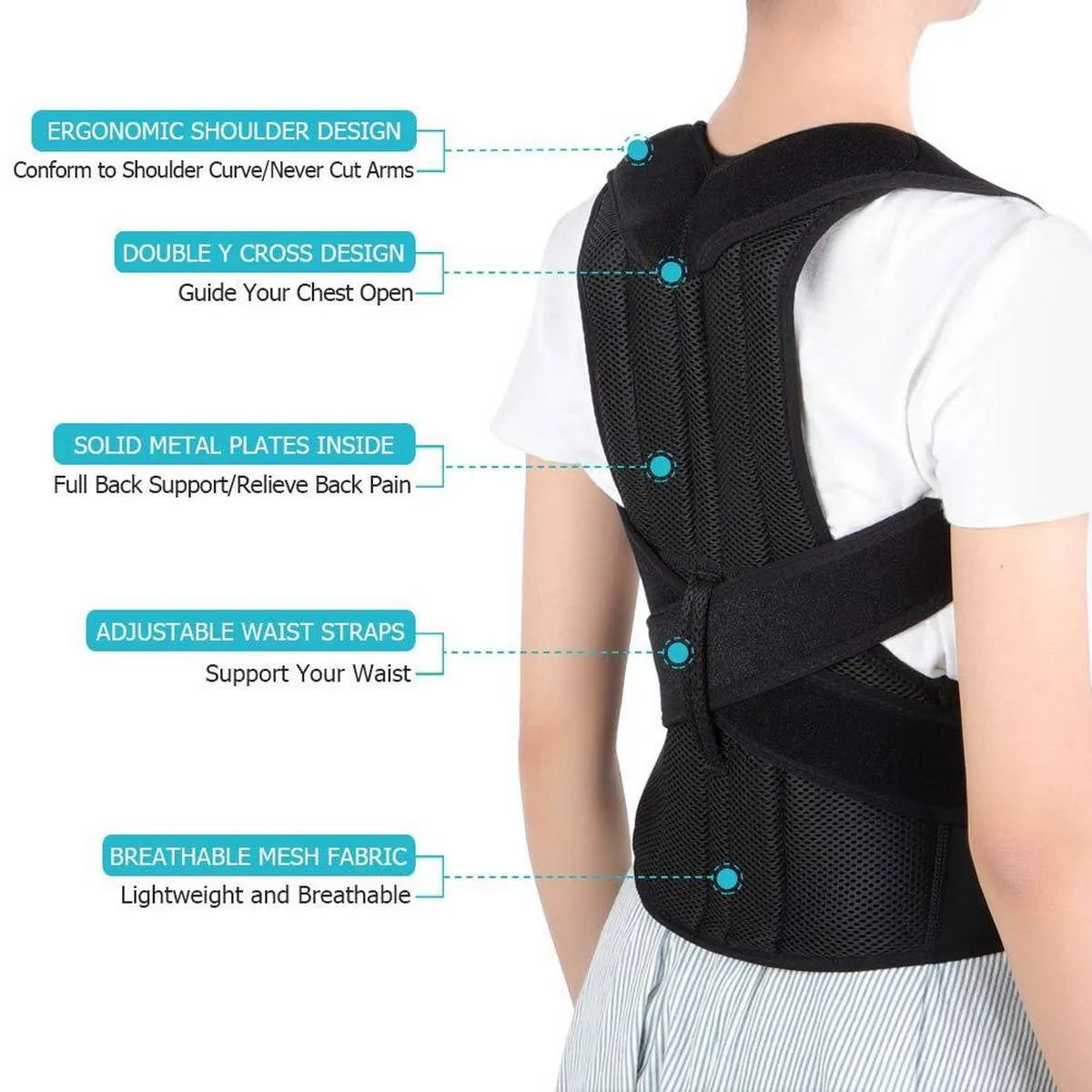 Spinecare Posture Belt