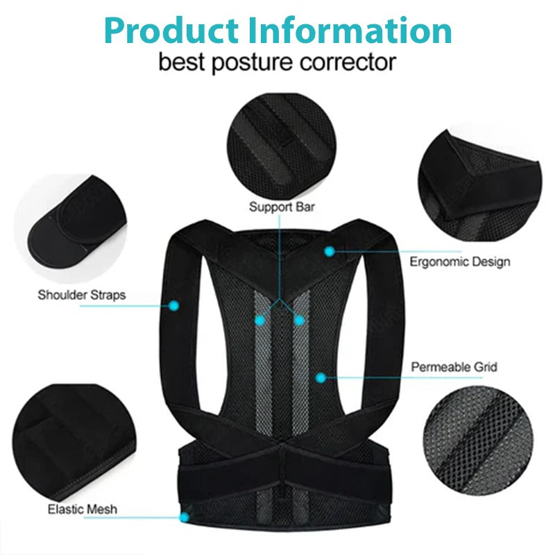 Spinecare Posture Belt