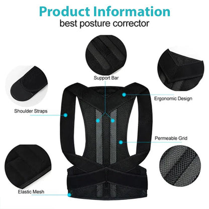 Spinecare Posture Belt
